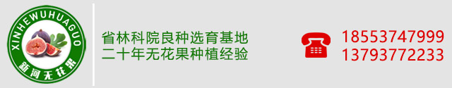 º޻ֲרҵ